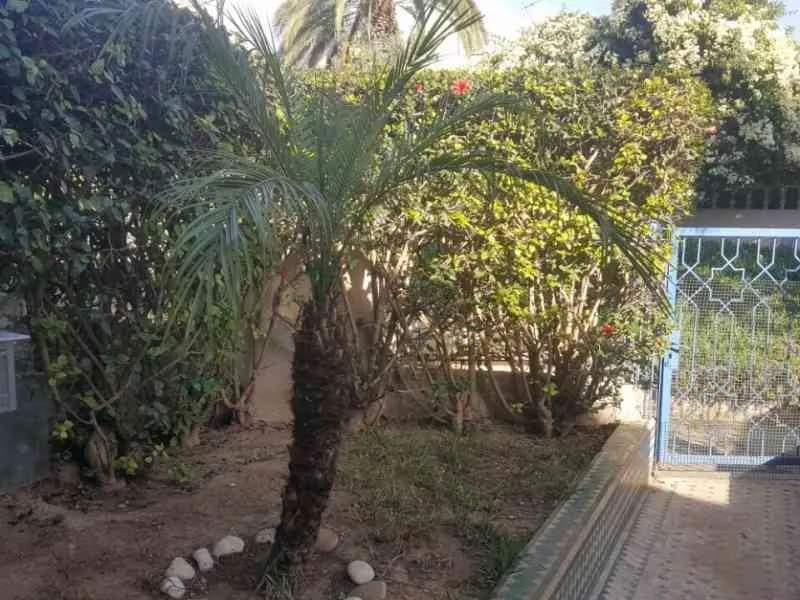 Villa charaff à vendre opportunite rénover - أكادير (4)