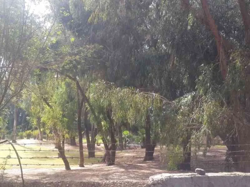 terrain a vendre - أكادير (2)