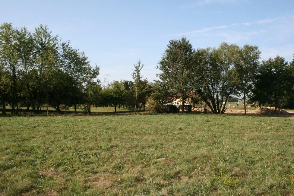 joli terrain - فاس