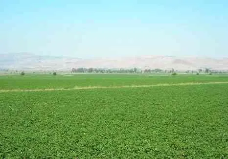 أرض فلاحية - الحاجب