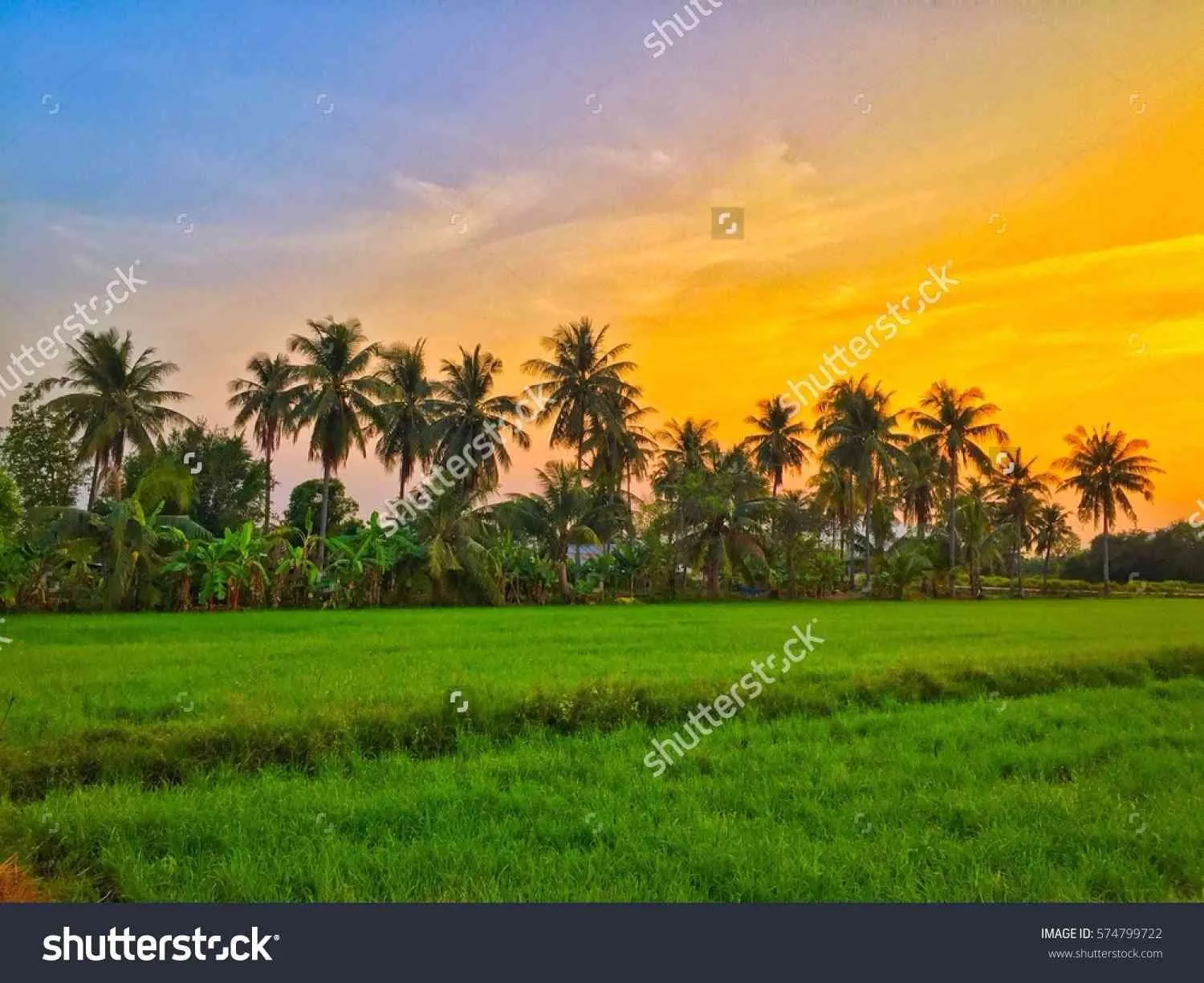 TERRAIN A VENDRE - خريبكة