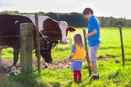 UNE FERME A VENDRE - خريبكة (3)