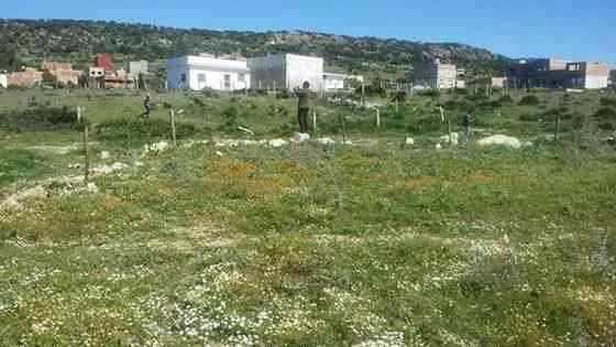 terrain à gzenaya - طنجة