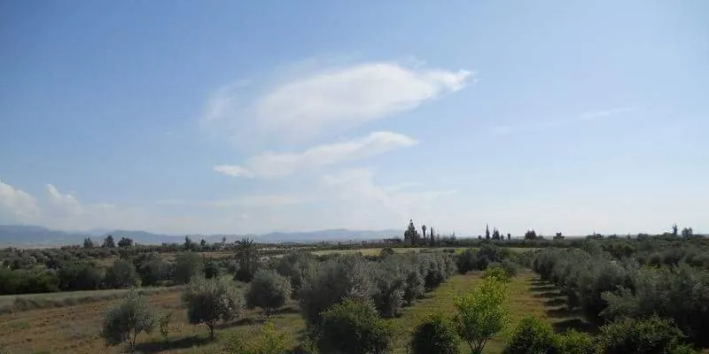 affaire rare tres beau terrain a vendre - مراكش (2)