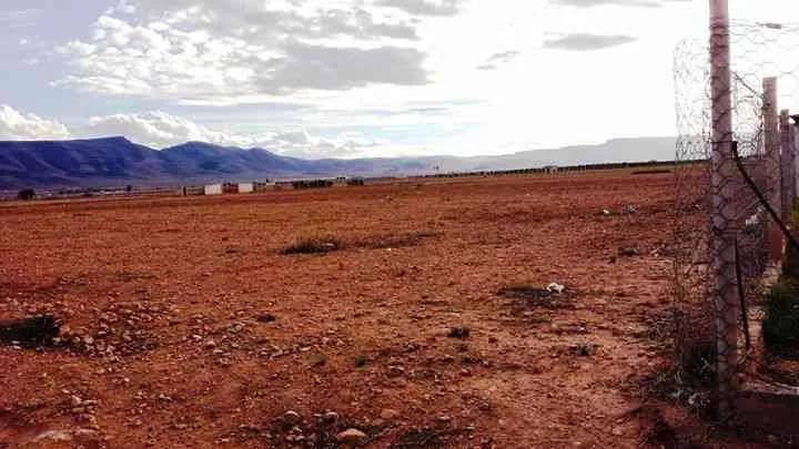 2 hectares de rêve RT jerada oujda maroc - طنجة (2)