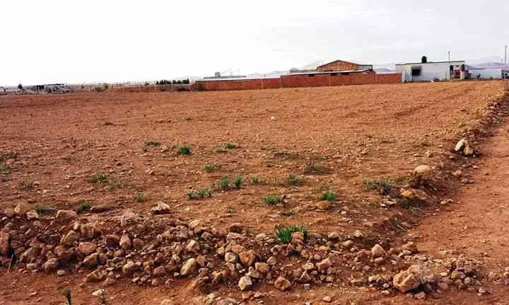 2 hectares de rêve RT jerada oujda maroc - طنجة