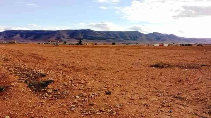 2 hectares de rêve RT jerada oujda maroc - طنجة (3)