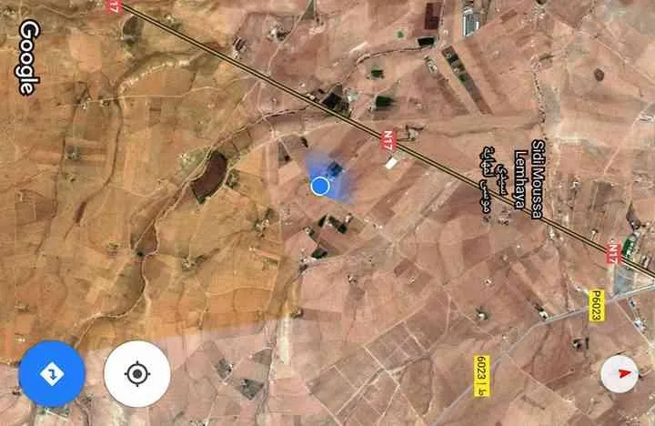 2 hectares de rêve RT jerada oujda maroc - طنجة (4)