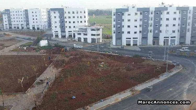 AGENCE IMMOBILIERE A KHOURIBGA - بوزنيقة (2)