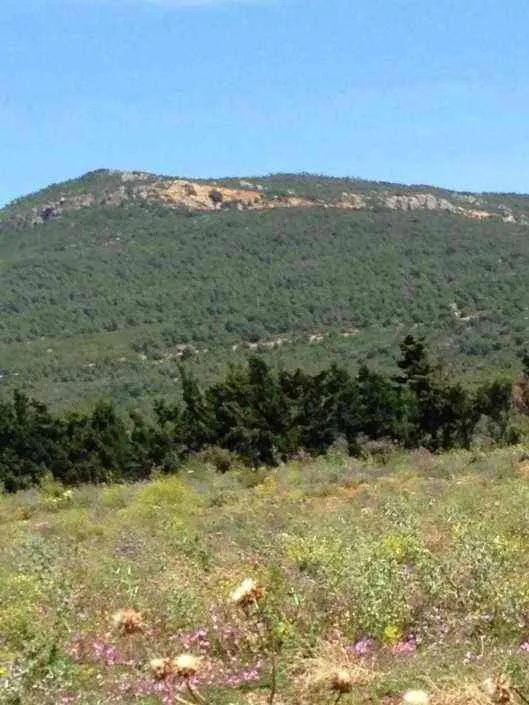 Terrain 70 m2 Tanja baliya - طنجة