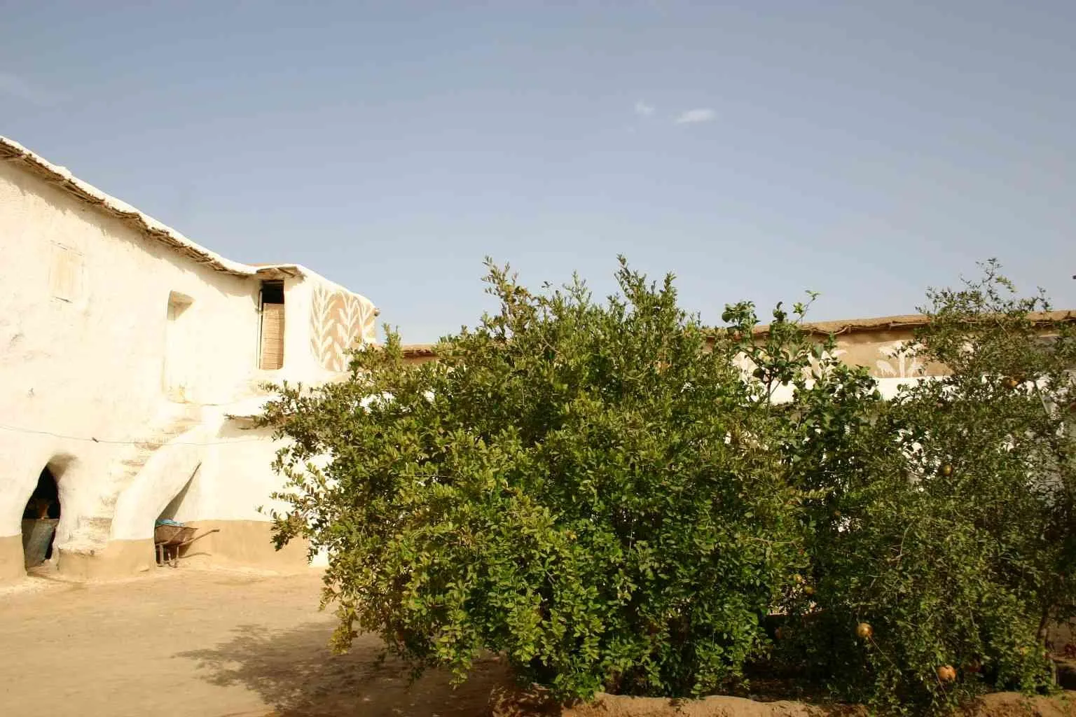 A vendre Riad à renover à Taroudant - تارودانت (2)