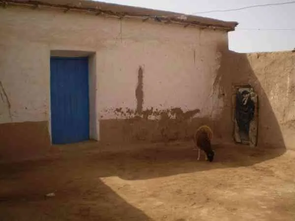 ANCIENNE MAISON DE CAMPAGNE A RESTAURER - تارودانت (2)