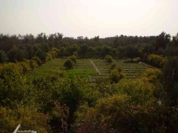 Maison à Vendre à taroudant - تارودانت (2)
