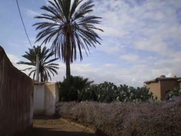 maison de campagne à Vendre à taroudant - تارودانت (2)