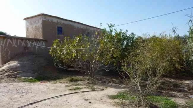 MAISON ANCIENNE A RENOVER EN CAMPAGNE - تارودانت