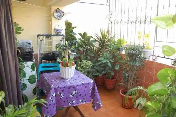A vendre appartement en plein centre - طنجة