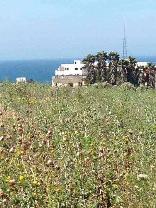 8974 - طنجة (3)