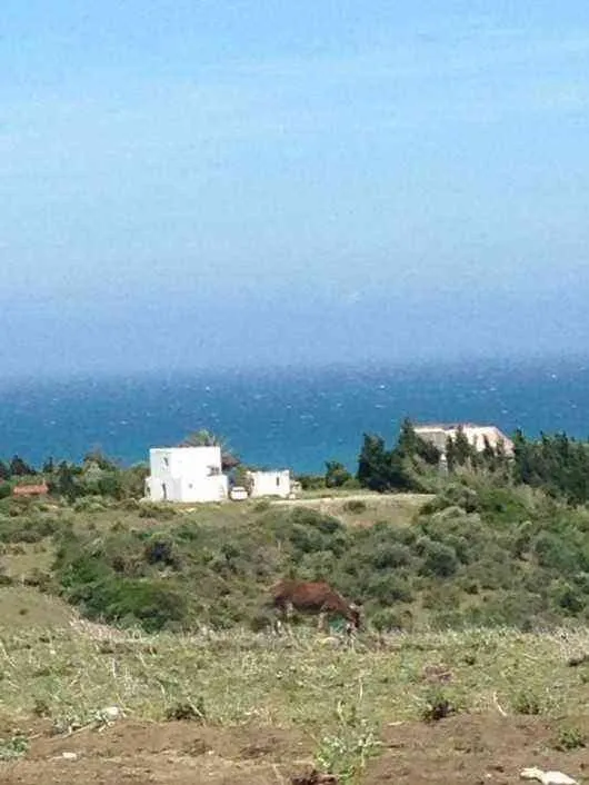 8974 - طنجة (2)