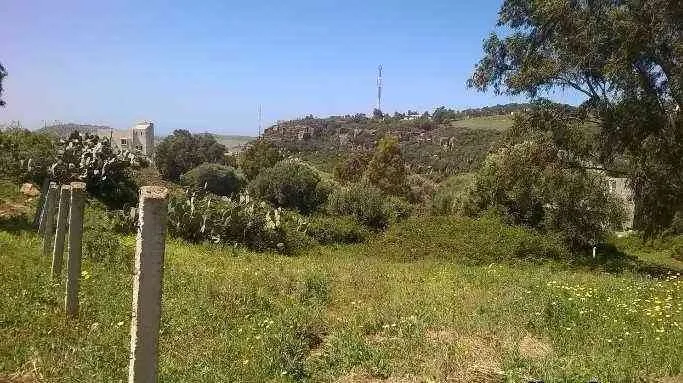 Terrain titré de 564 m2 pour villa à Tan - طنجة