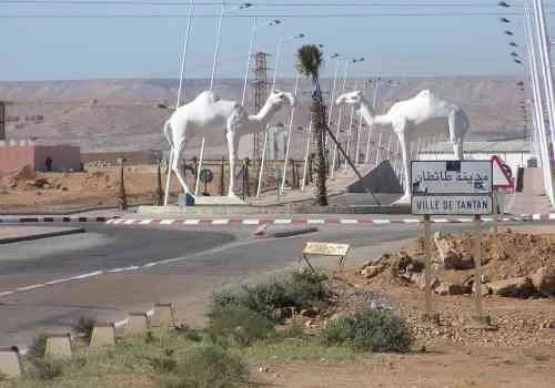 villa a vendre a la ville de tantan - gulmim