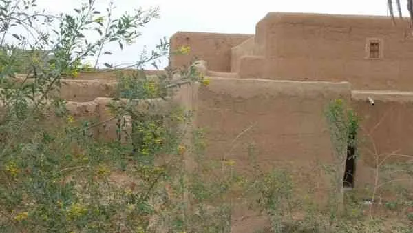 Riad ancien à vendre à 32KM de Taroudant - تارودانت (2)