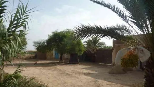 3 maisons à vendre à 16 km de taroudant - تارودانت