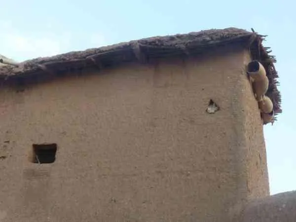 Maison de campagne 150m² à taroudant - تارودانت (3)