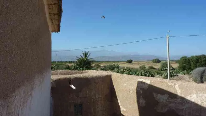 Ancienne maison à rénover à Taroudant - تارودانت
