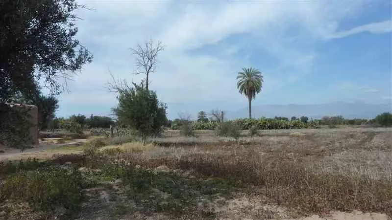 Maison 200m² sur tr 5000m² à Taroudant - تارودانت (2)