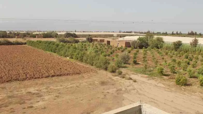 Maison de campagne semi fini à taroudant - تارودانت (2)