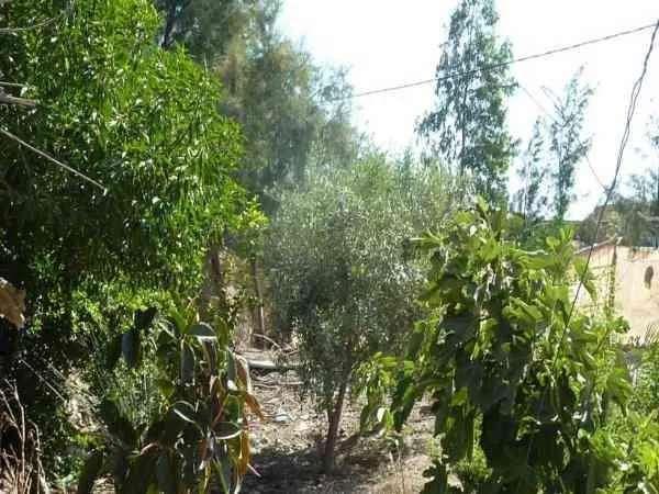 Maison a vendre à Taroudant au z.rurale - تارودانت (3)