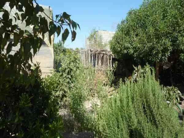 Maison a vendre à Taroudant au z.rurale - تارودانت (2)