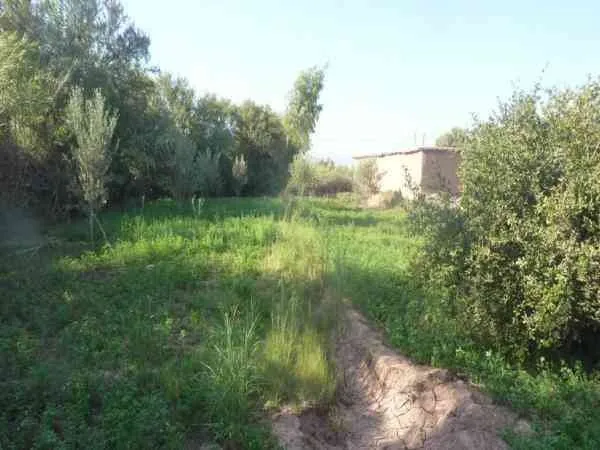 Belle maison de campagne à Taroudant - تارودانت