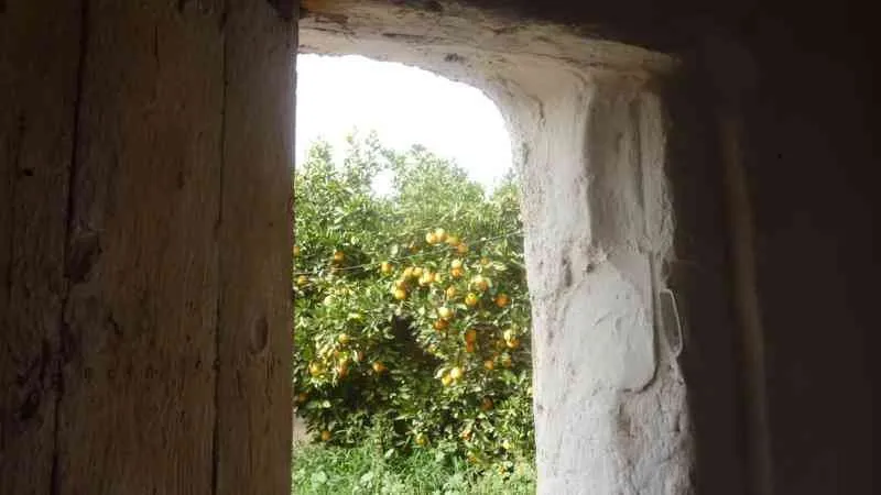 Maison de campagne à 17kmde Taroudant - تارودانت (4)