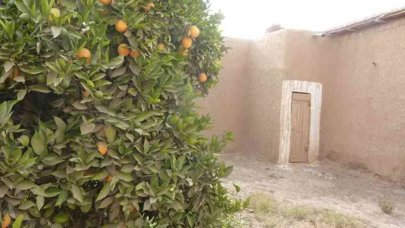 Maison de campagne à 17kmde Taroudant - تارودانت (3)