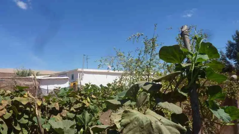 Maison de campagne200M à Taroudant - تارودانت (2)