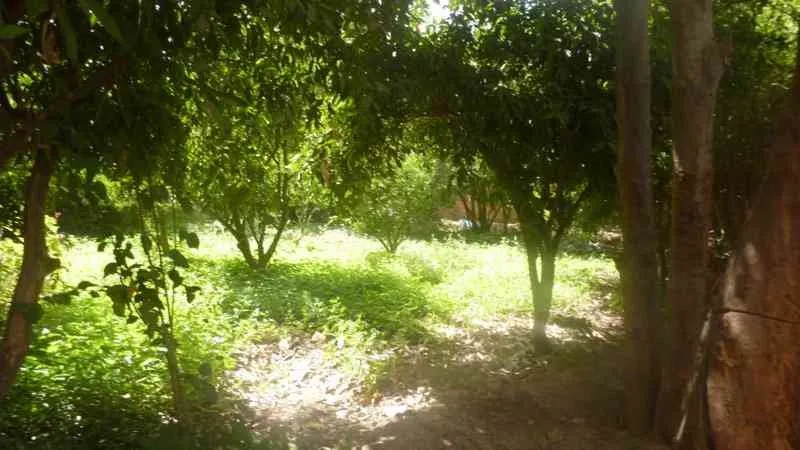 UNE BELLE  MAISON DE CAMPAGNE - تارودانت (3)