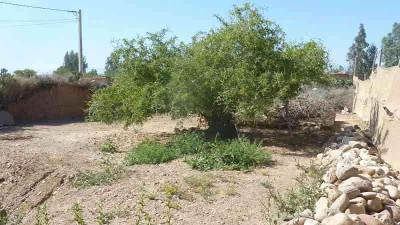 Maison de campagne sur terrain 800M² - تارودانت (3)