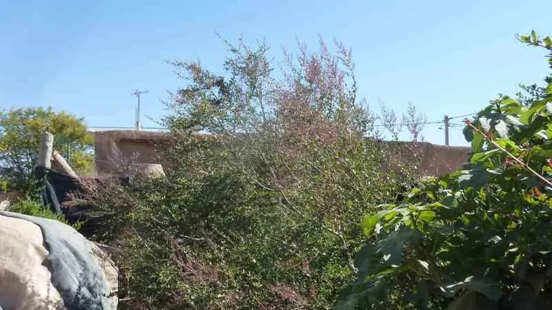 Maison de campagne sur terrain 800M² - تارودانت (4)
