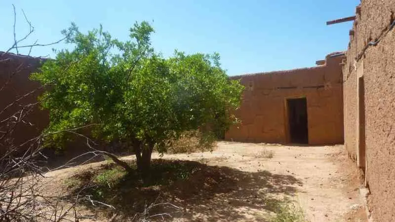 Maison 250m² à Taroudant au Zone rural - تارودانت (4)