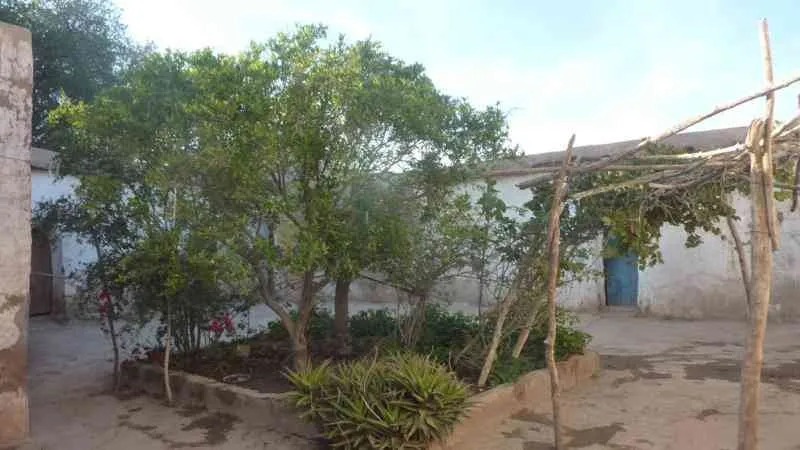 Maison de compagne140m² à Taroudant - تارودانت (3)