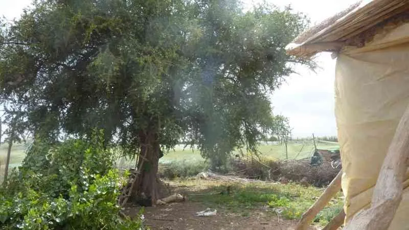 Maison de campagne 150m² à Taroudant - تارودانت