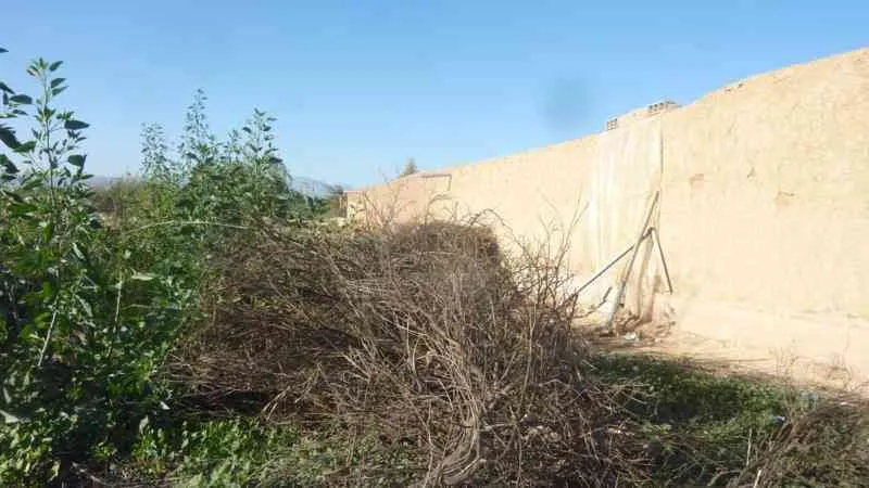 Maison de campagne sur terrain 800m2 - تارودانت (2)