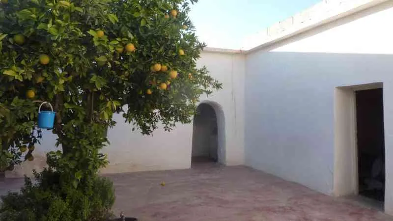 Maison de compagne250M avendre taroudant - تارودانت (2)