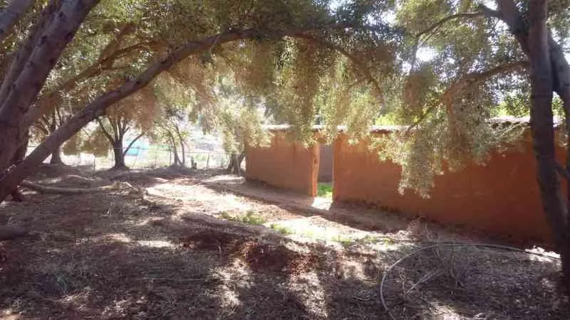 Maison de campagne sur t1000m2 Taroudant - تارودانت (3)