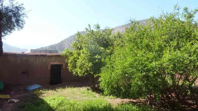 Maison de campagne sur t1000m2 Taroudant - تارودانت