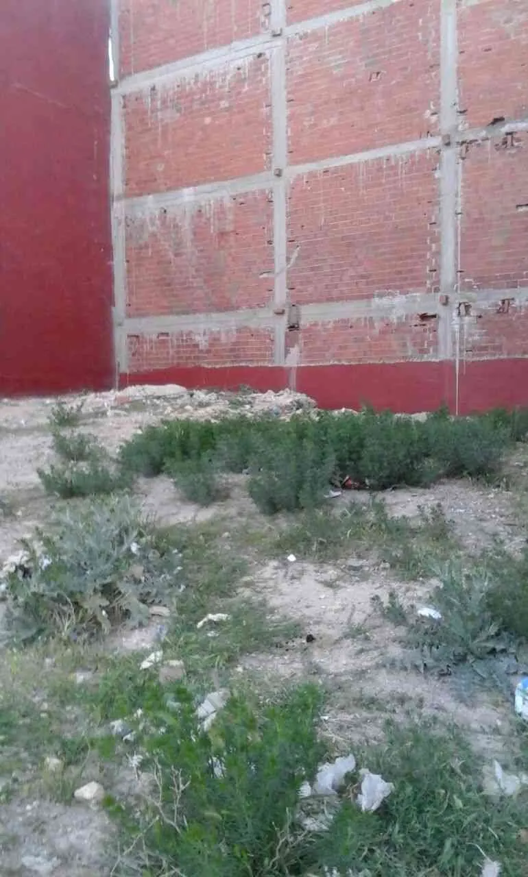 Terrain économique à vendre - طنجة