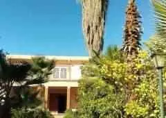 Jolie Ferme avec Maison - مراكش (4)
