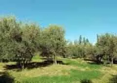 Jolie Ferme avec Maison - مراكش (3)
