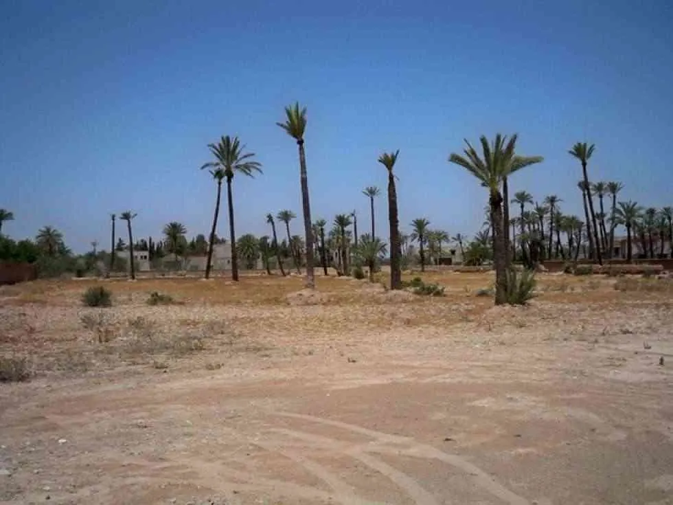 Opportunité terrain - مراكش (2)